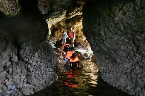 【沖縄・真栄田岬・カヤック】潮だまりで生き物を探そう！イノー観察プラン