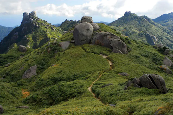 屋久島 登山ツアー 1泊2日 宮之浦岳縦走 白谷雲水峡下山 ガイドツアー アソビュー