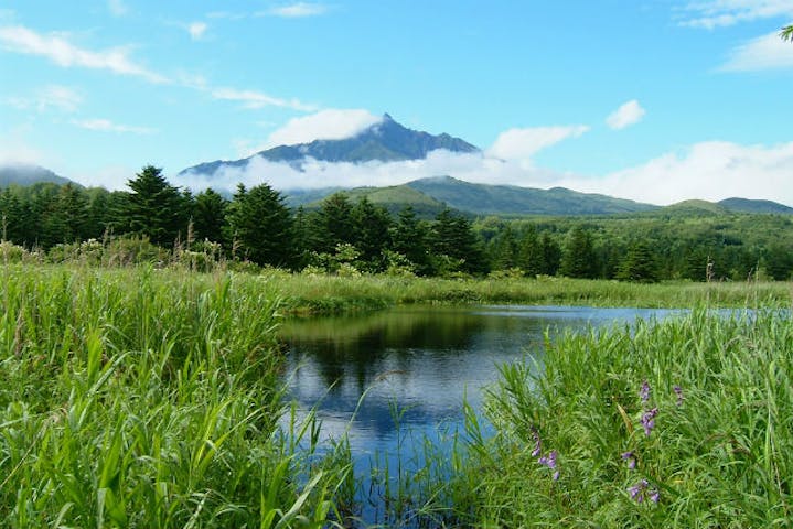利尻はなガイドクラブ