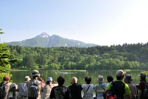 【北海道・利尻島ハイキング】自然豊かな癒しの島を歩こう！利尻島ハイキングプラン