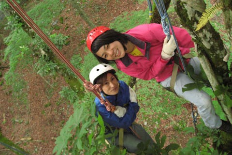 滋賀県 ツリークライミング 木登りの遊び体験 日本最大の体験 遊び予約サイト アソビュー