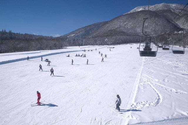 長野 信濃町 スキースクール はじめてのスキーから中級者まで 半日レッスン アソビュー