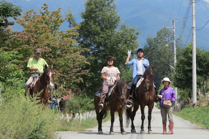 ホースファーム　ポラリス
