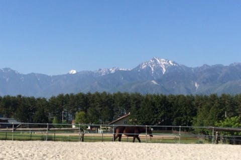 【山梨・ホーストレッキング・乗馬】引き馬でお手軽に外乗！お子さまにもオススメです