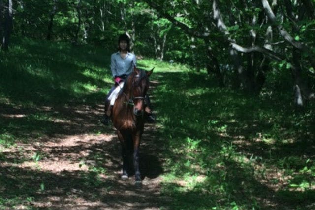 【山梨・ホーストレッキング・乗馬】親子で馬とお散歩！乗るだけカンタン引き馬コース
