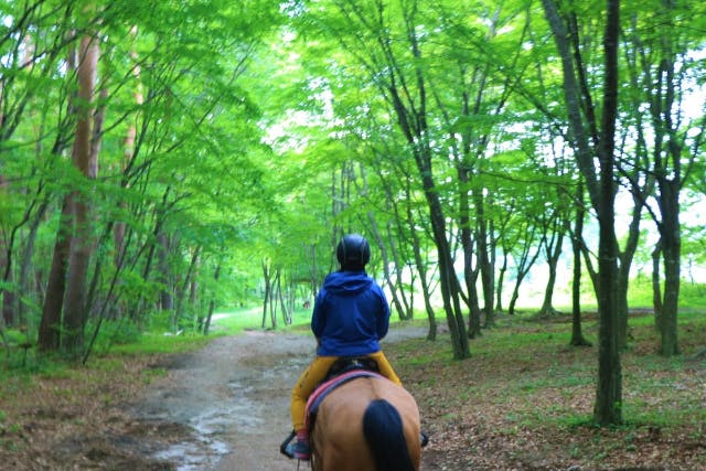 【山梨・ホーストレッキング・乗馬】経験者限定・八ヶ岳の森林を馬とトレッキング（外乗60分）