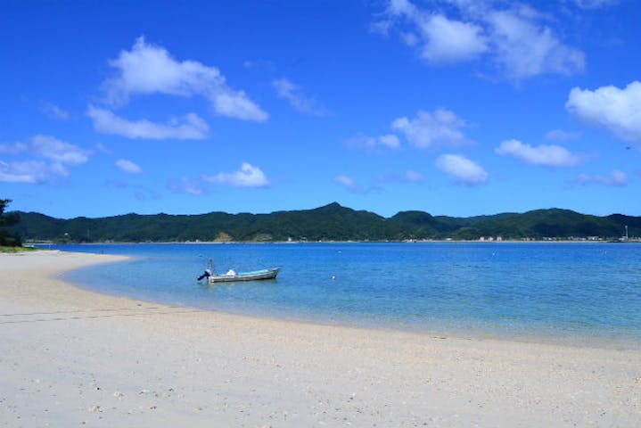 奄美大島 シーカヤック ウミガメが泳ぐ海へ繰りだそう 楽園シーカヤックスクール ツアー アソビュー