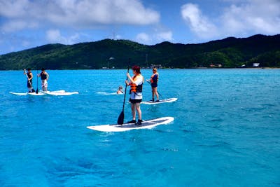 奄美大島・SUP】初心者もすぐ乗れる！爽快海上さんぽを楽しむSUP