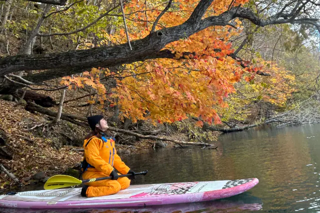 【北海道・支笏湖SUP】日本一キレイな湖で紅葉SUPクルージング！写真プレゼント！（SIJ公認スクール）初心者でも安心！