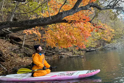 【北海道・支笏湖SUP】日本一キレイな湖で紅葉SUPクルージング！写真プレゼント！（SIJ公認スクール）初心者でも安心！