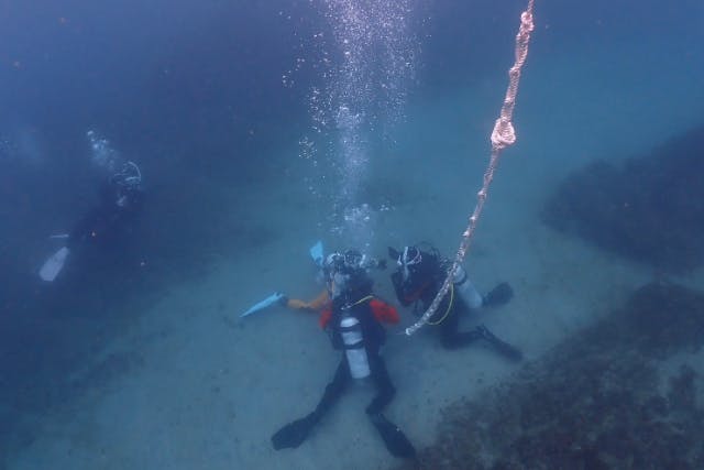 【ドライスーツ無料！三浦半島・城ヶ島にてオープンウォーター取得】2.5日で本格的なライセンス取得！もっとダイビングを楽しみたい！国際ライセンス取得で本格的にダイビングを始めよう！（最大潜水深度18m）