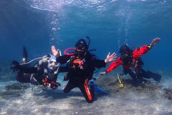 渋谷駅/新横浜駅無料送迎！ドライスーツ無料！三浦半島・城ヶ島にて