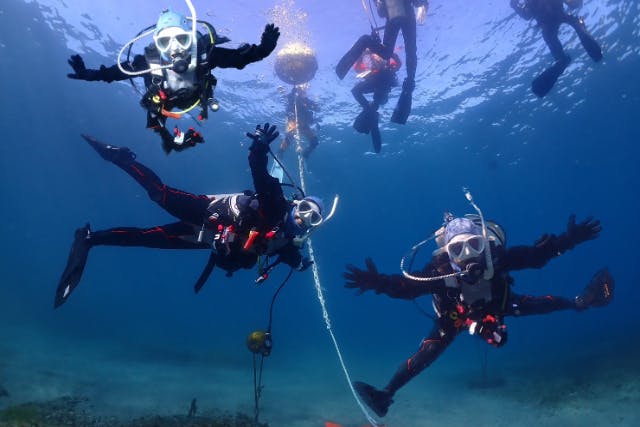 【ドライスーツ無料！三浦半島・城ヶ島にてダイビングライセンス取得】初めての方にまずはコレ！1.5日でライセンス取得！学科講習＆日帰り2ダイブで気軽に国際ライセンスを取得しよう！（最大潜水深度12m）