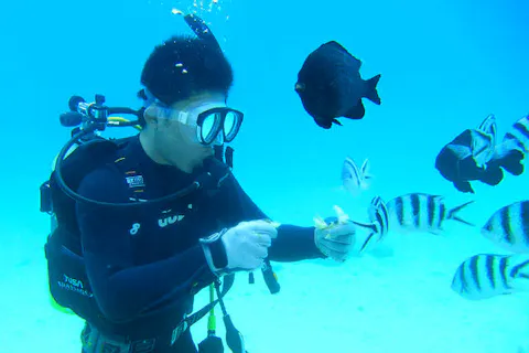 【沖縄・恩納村・体験ダイビング】水上バイク&ドラゴンボード付き！ビーチダイビングを楽しもう！