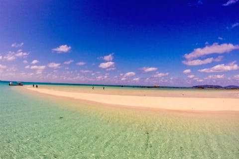 【沖縄・石垣島・スノーケリング】透き通るクリアブルーを実感！癒やしのスノーケリング