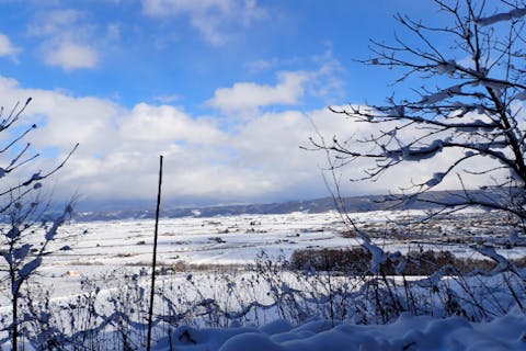 【北海道・富良野・スノーシュー】富良野の大地をいいとこ取りでご案内！おまかせスノーシューツアー