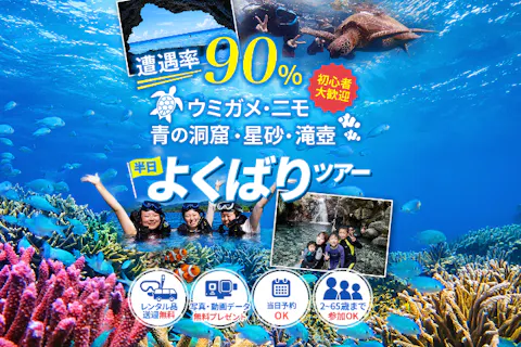 【沖縄・石垣島・シュノーケリング】半日ウミガメ珊瑚礁シュノーケル・クマノミ・星砂・青の洞窟探検＆滝壺あそび　レンタル品・画像データ無料・ＡＭ・ＰＭ(送迎付き）