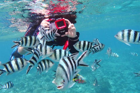 【沖縄・名護・スノーケリング】沖縄の海の魅力を大発見！ゲーム感覚で楽しむスノーケルツアー！