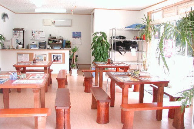 ドルフィンウェーブの割引プラン