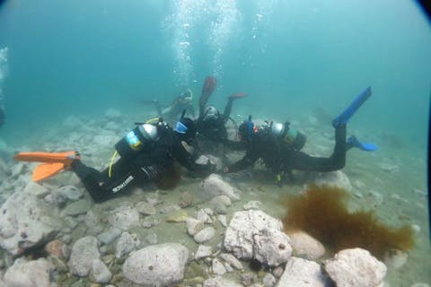 【北海道・札幌発・積丹・ダイビング】ロウソク岩エリアで泳ごう！ビーチ・ファンダイビング（2ダイブ）
