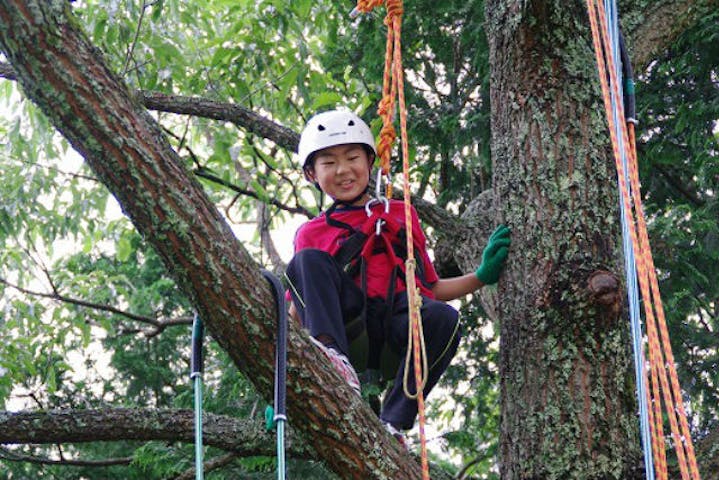 山口 木登り 3歳から参加ok ツリークライミングで木と友だちになろう アソビュー