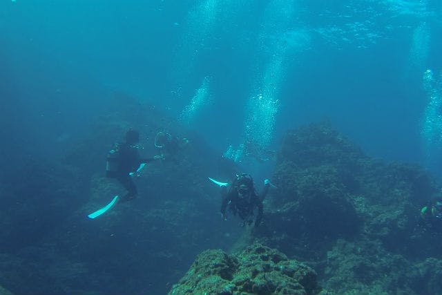 【鹿児島・ファンダイビング】魚影が濃い「中ノ瀬」で潜る！ワイド派にオススメの2ボート