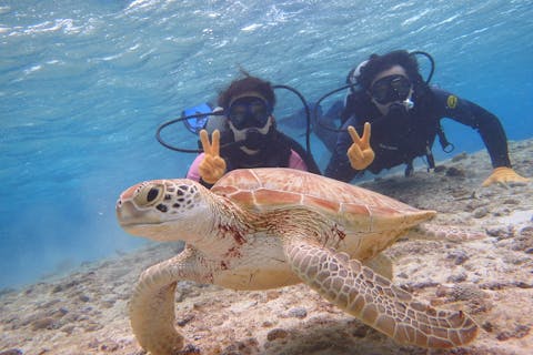 宮古島 体験ダイビングツアー 料金比較 予約 アソビュー