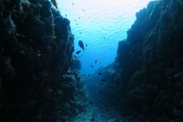 沖縄 宮古島 体験ダイビング ウミガメと写真を撮ろう ウミガメプラン アソビュー