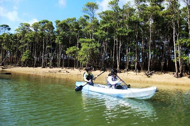 沖縄 宮古島 カヤック 生き物たちの楽園 島尻のマングローブ林で遊ぼう アソビュー