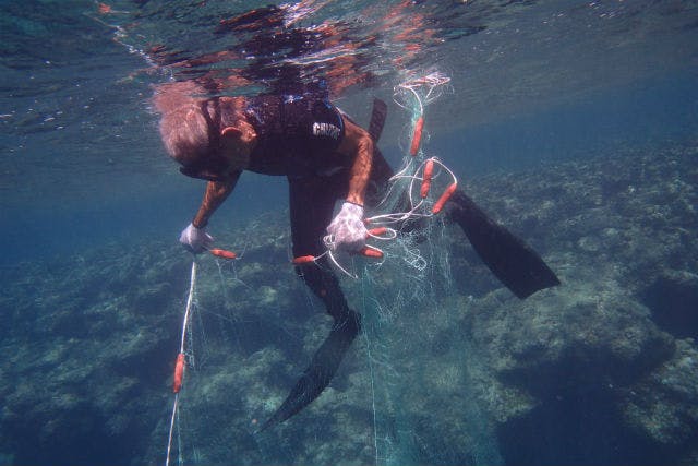 沖縄 漁業体験 海の恵みをいただきます 5歳からok 貝採り漁プラン アソビュー