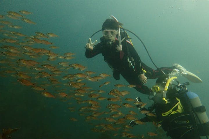根府川ダイビングサービス