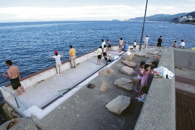 兵庫 淡路島 釣り プライベート釣り場で 快適釣り体験 お弁当 温泉付 アソビュー