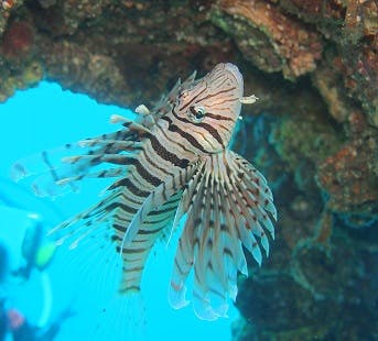 アクアマリン福井店｜ネット予約ならアソビュー！