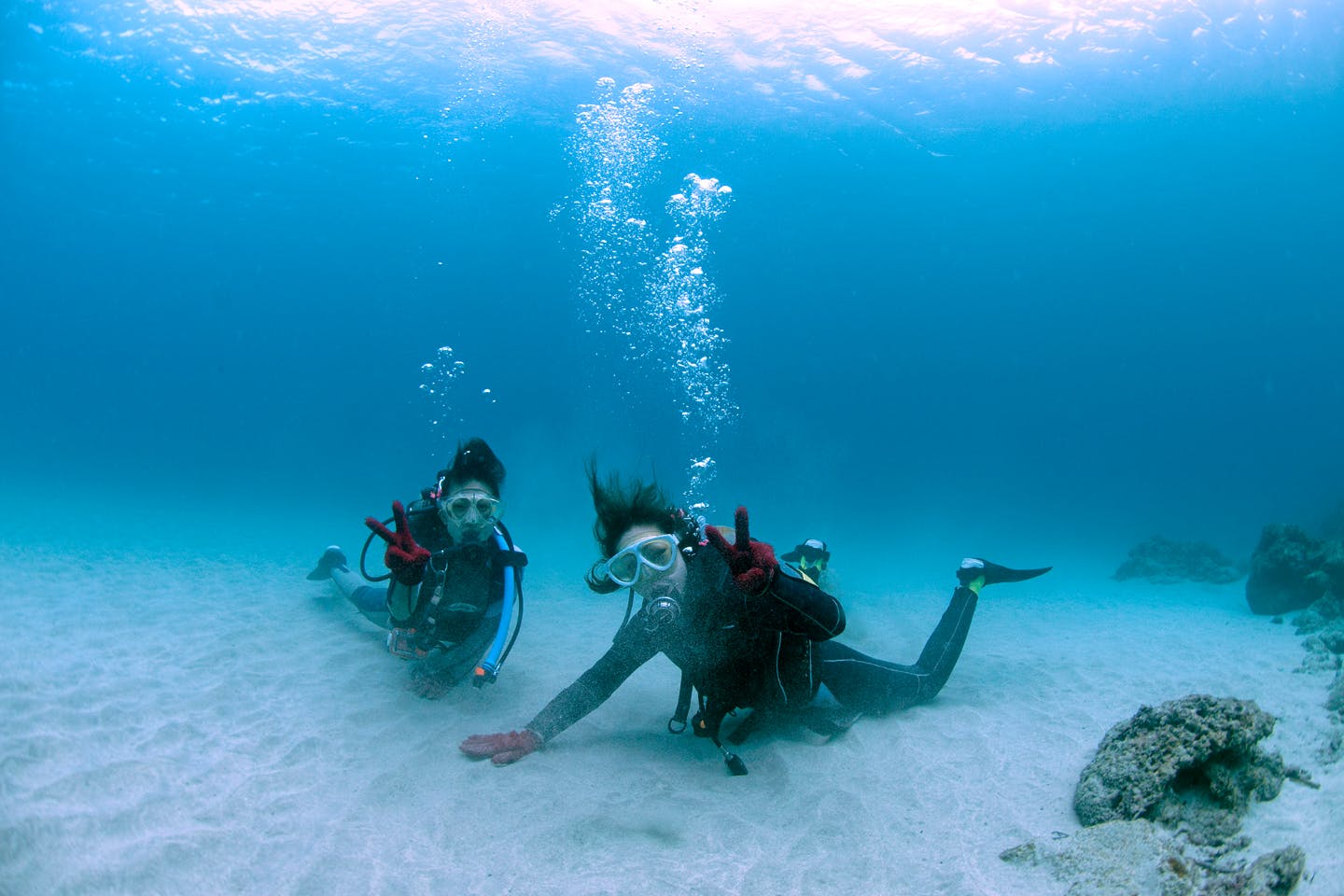 【屋久島・体験ダイビング】ウミガメに会えるかも？美しい屋久島の海で1ダイブ・コース！（3時間）