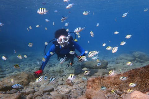 【屋久島・体験ダイビング】じっくり自然観察で、世界遺産の海を満喫！2ダイブ・コース（5時間）