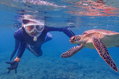 鹿児島でシュノーケリング スノーケリング を体験 予約するなら アソビュー