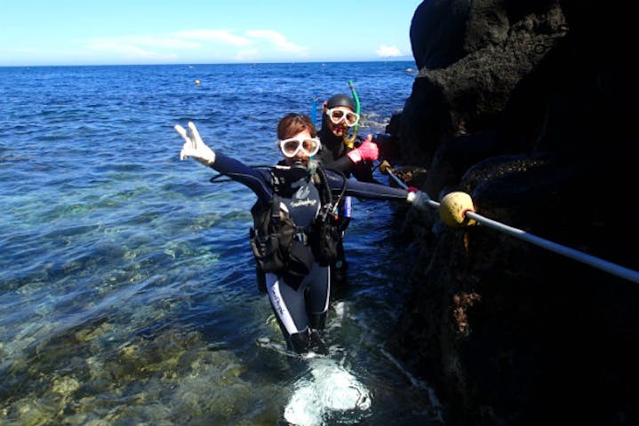 ダイブドリーム