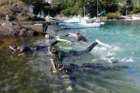 【静岡・伊東・シュノーケリング】基礎トレーニングをしっかりと行い、東伊豆の海をシュノーケリング