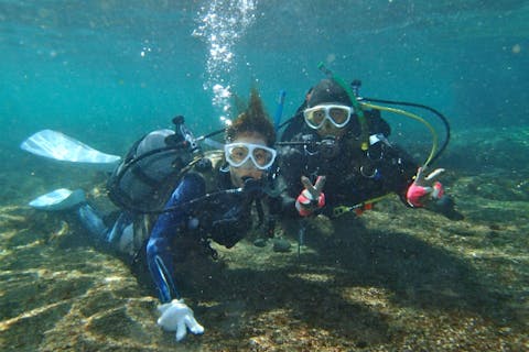 【静岡・伊東・ダイビング】ダイビングライセンスカード保持者向け伊豆海洋公園でファンダイビング！豊富な地形・生き物を観察
