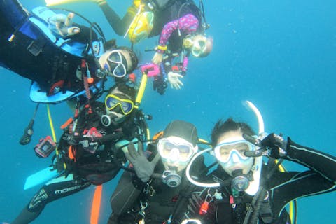 【神奈川・三浦・ライセンス取得】体験ダイビングでは物足りない！もうちょっとやってみたい方向必見！スクーバーダイバーライセンス取得コース！