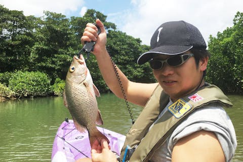 【沖縄・石垣島・カヤック】ジャングルで釣りしよう！マングローブカヤックフィッシング（貸切）