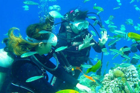 【沖縄／本部町・美ら海水族館近く】水納島ボート体験ダイビング+シュノーケリング  上陸1日コース