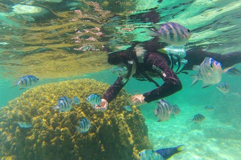 【沖縄県／本部町・美ら海水族館近く】水納島 ボートシュノーケリング＆マリンスポーツ（2種）  上陸1日コース