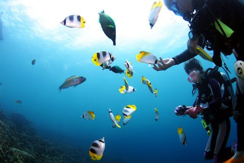 【広島・福山・ライセンス講習】「eトレ」利用！最短・格安でCIのCカードを取得（3日以上）