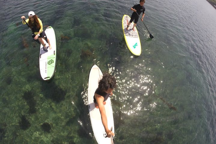 ヘイズサップクラブ