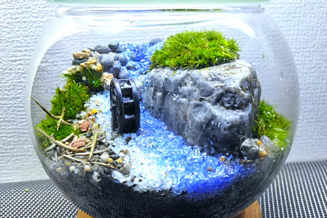 盆栽 『黒松』 和風 おしゃれ ほのめかし インテリア 観葉植物 