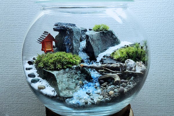 鑑賞石、アクアリウム、苔テラリウム、箱庭、坪庭、水石、盆栽、鉱石、ガーデニング 鑑賞石、アクアリウム、苔テラリウム、箱庭、坪庭、水石、盆栽