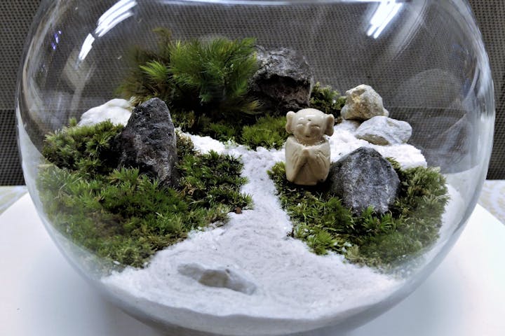 新宿 苔テラリウム 箱庭の世界が広がる 盆栽テラリウム アソビュー 新宿 苔テラリウム 箱庭の世界が広がる 盆栽テラリウム アソビュー