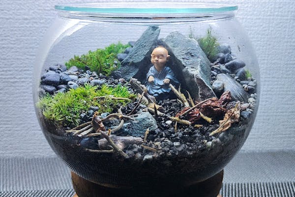 新宿・盆栽テラリウム】自然石で彩る箱庭風景「盆栽テラリウム