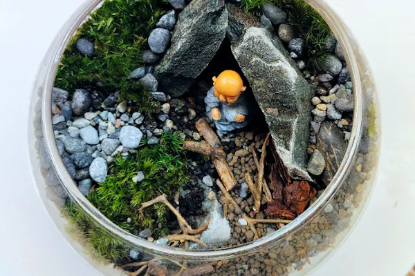 新宿・盆栽テラリウム】自然石で彩る箱庭風景「盆栽テラリウム